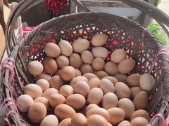 -马陆小张葡萄园农家乐