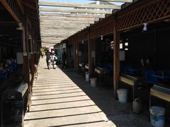 -亲兄弟真人CS团建拓展基地