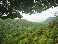 -南山植物园
