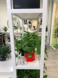 -SY水源护肤造型