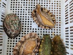 -87号烧烤海鲜·大排档(金沙滩店)