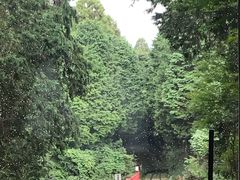 -比叡山