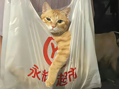 -山海菜馆·海肠捞饭·青岛菜(栈桥店)
