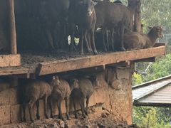 -昆明动物园
