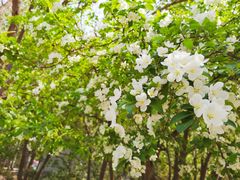 -济南国际园博园