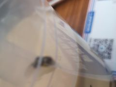 -1点点(中山门大街店)