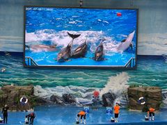 -多彩贵州城极地海洋世界