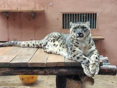 -青藏高原野生动物园