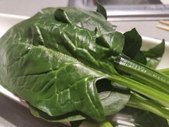 -海底捞火锅(苏宁生活广场店)