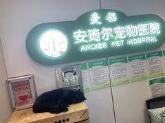 -爱侣·安琦尔宠物医院·中兽医针灸·心内科·狂犬免疫点(宝山区院)