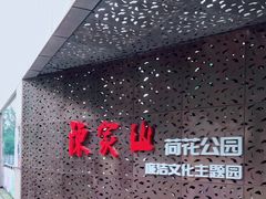 -陈家山荷花公园