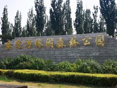 -永定河休闲森林公园