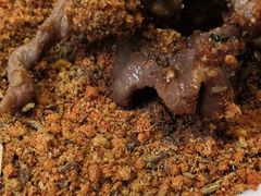 -厚味居炙子烤肉·清真(天桥南纬路店)