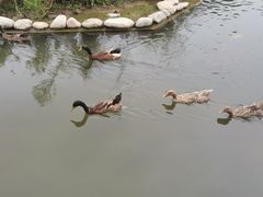 -西安汉城湖景区