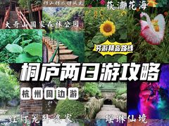 -大奇山国家森林公园