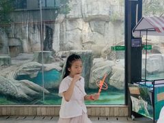 -灵玲国际马戏城
