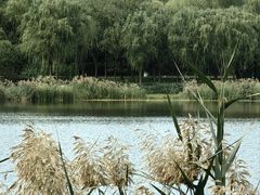 -北坞公园