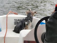 -上海月湖雕塑公园