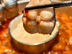-鱼豆吉·豆浆鱼火锅(宜昌万达店)