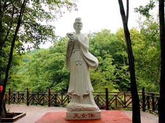 -天女山森林公园