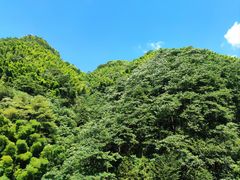 -藏龙百瀑风景区