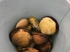 -澜悦港海鲜体验主题餐厅