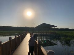 景点-白洋淀景区