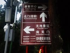 -武陵山森林公园