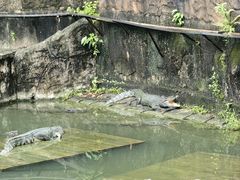 -深圳野生动物园
