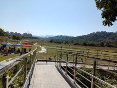 -风云岭森林公园