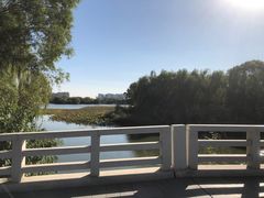 -大兴滨河森林公园