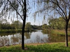 -东郊湿地公园