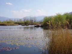 -西昌邛海湿地