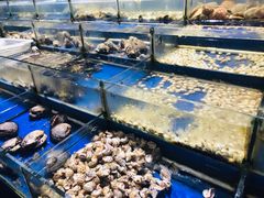 -舟山小海鲜大排档(稻香新村店)