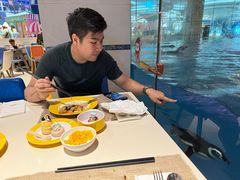 -帝企鹅自助餐厅•儿童岛•真企鹅(长隆企鹅酒店)