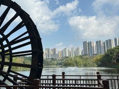-重庆彩云湖湿地公园