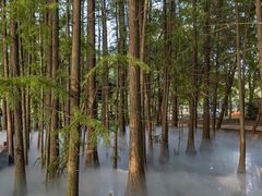 -东湖落雁景区