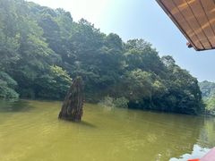 -青城山