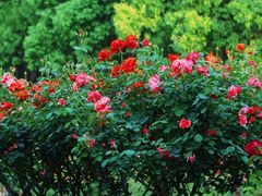 -上海交通大学(闵行校区)