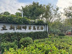 -立新湖公园