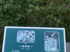 -福道