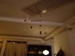 -Ginko银子(青龙街店)