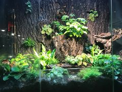 -有才叔的小馆(招商依云曲江店)