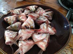 鲮鱼头-章记正宗南岗鱼蛋火锅