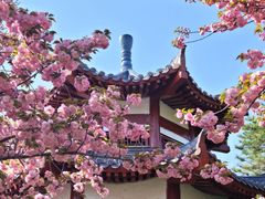 -洛阳市隋唐城遗址植物园