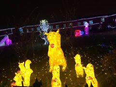 -菊园百果园