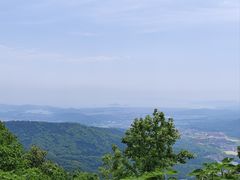 -惠山国家森林公园