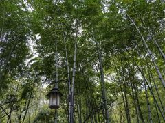 -宝岩生态观光园