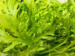 -皇城老妈川味火锅·大连海鲜火锅(港湾店)