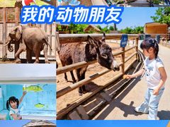 -太原动物园